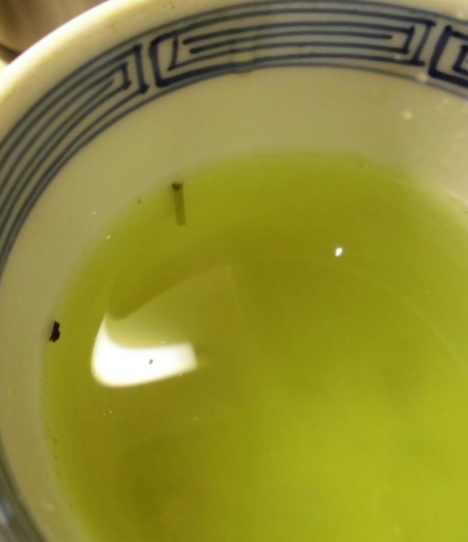 Enquête - Dégustation de thés japonais