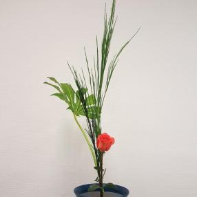 Ikebana, arrangement floral japonais